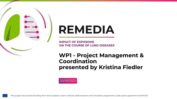 wp1 project management coordination presented