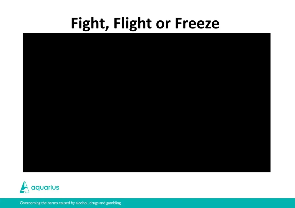 fight flight or freeze