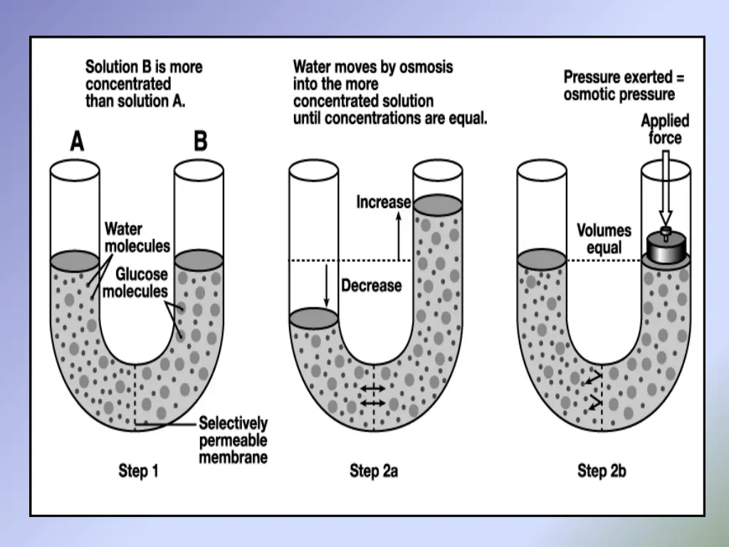 slide13