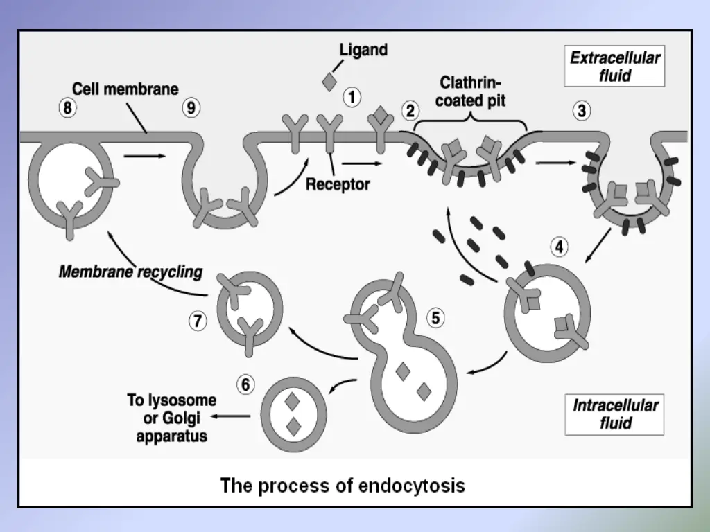 slide27