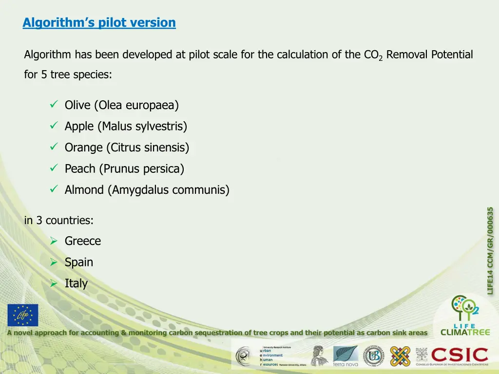 algorithm s pilot version