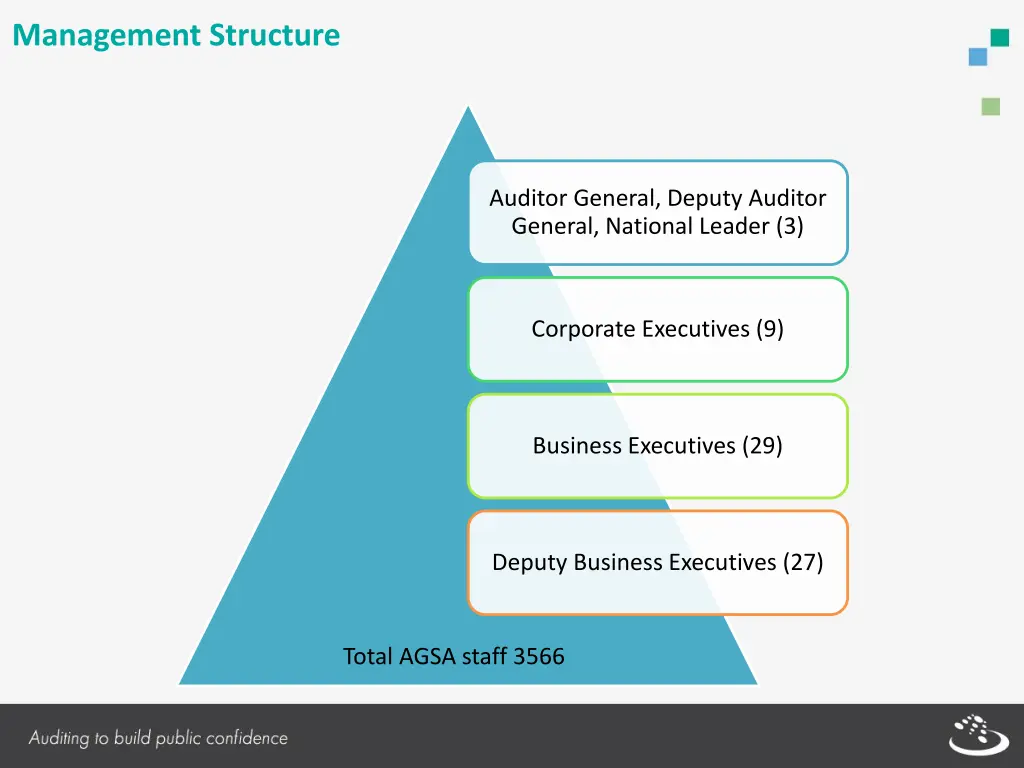 management structure