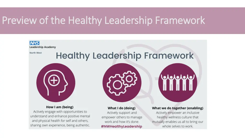 preview of the healthy leadership framework