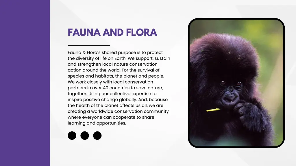 fauna and flora