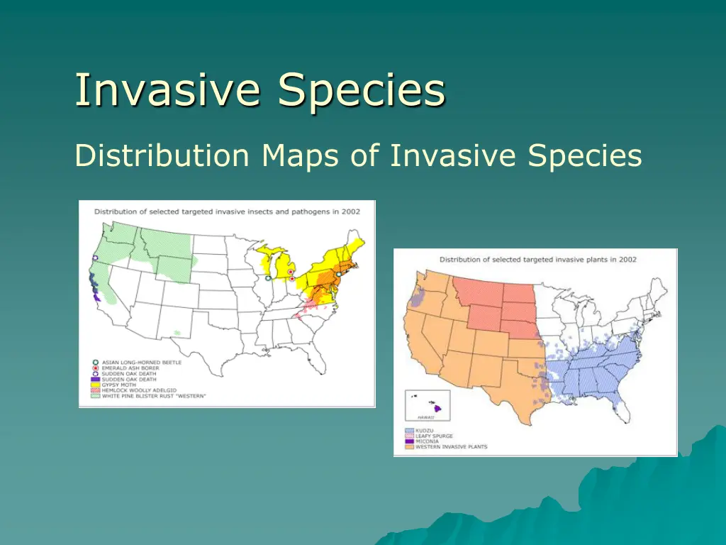 invasive species 3