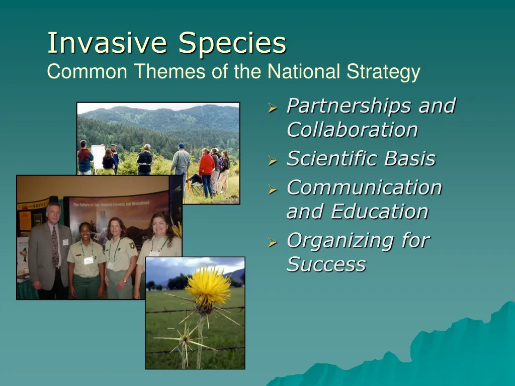 invasive species common themes of the national