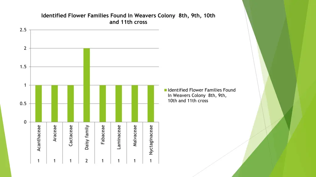 identified flower families found in weavers