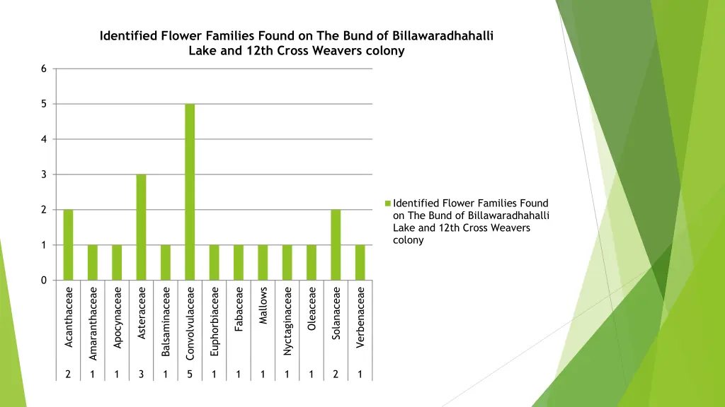 identified flower families found on the bund