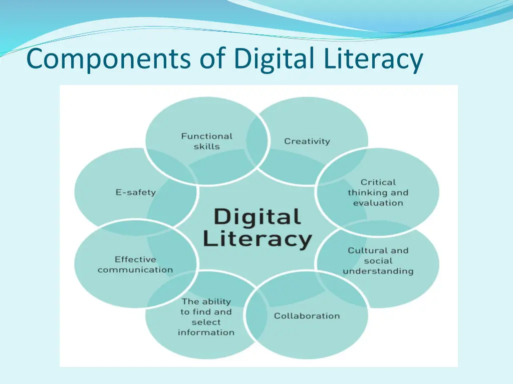 components of digital literacy