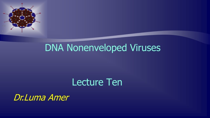 dna nonenveloped viruses