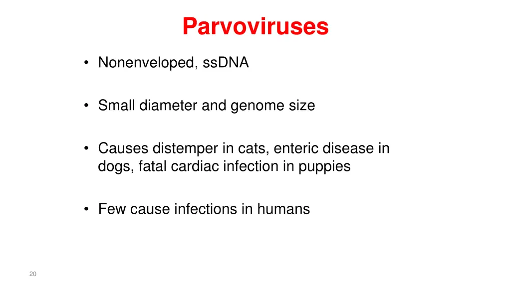 parvoviruses