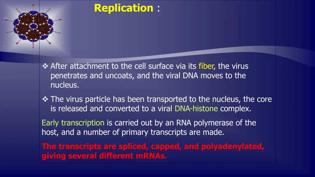 replication