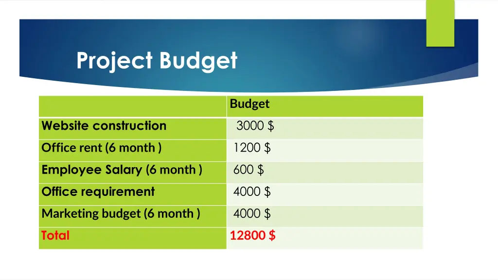 project budget