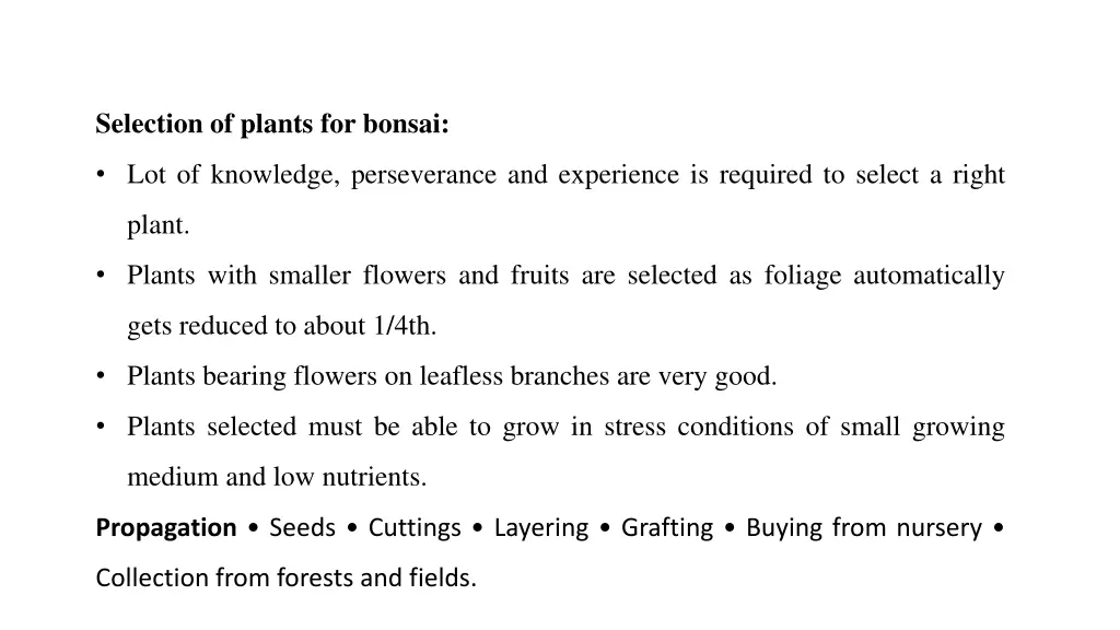 selection of plants for bonsai