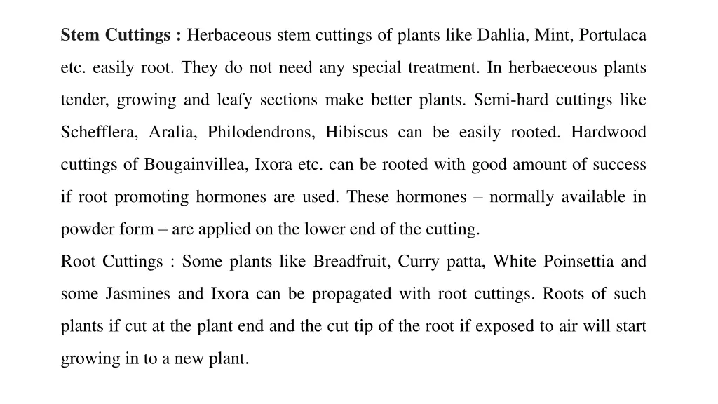 stem cuttings herbaceous stem cuttings of plants