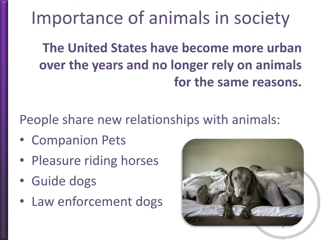 importance of animals in society 1