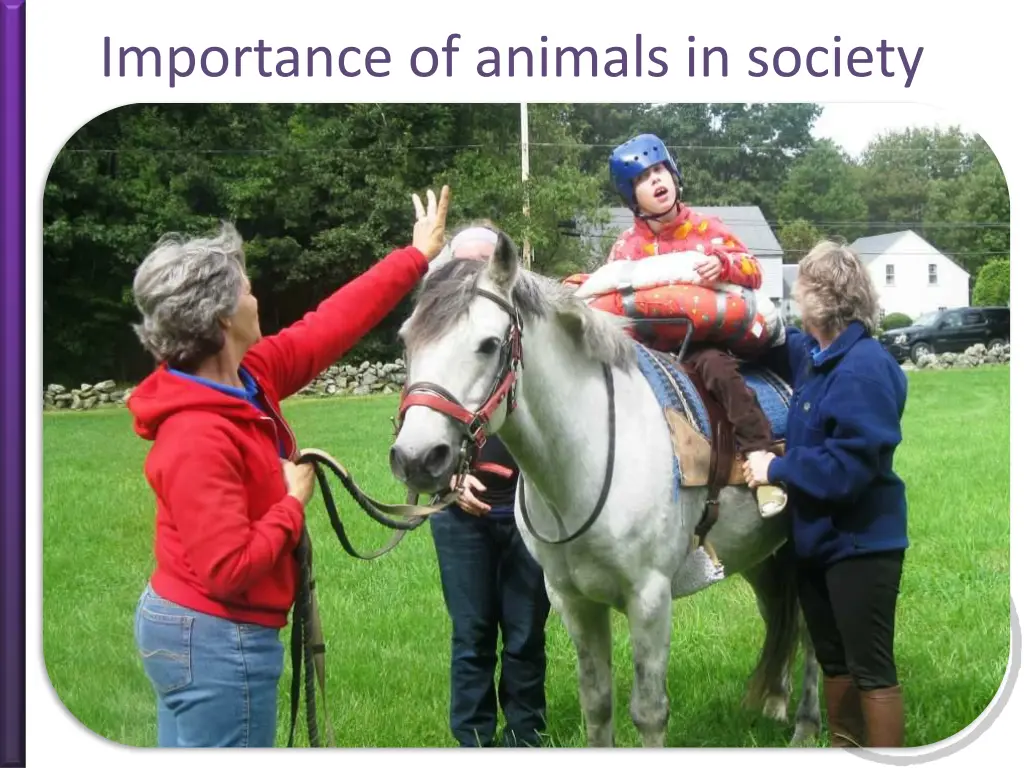 importance of animals in society 7