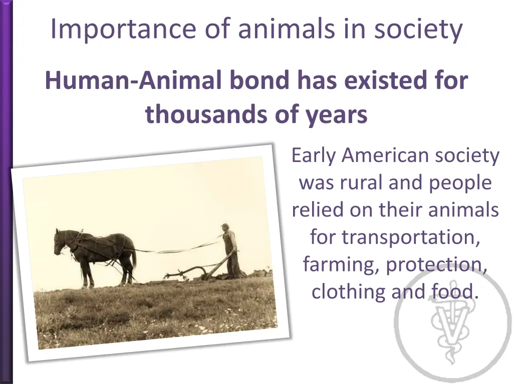 importance of animals in society