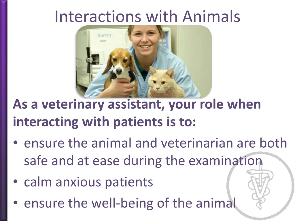 interactions with animals