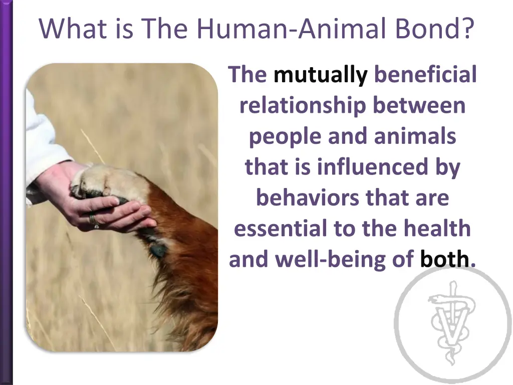 what is the human animal bond 1