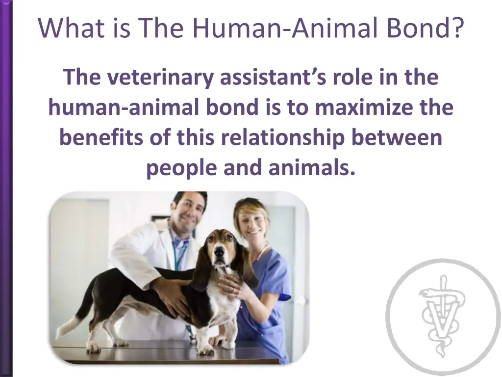 what is the human animal bond 2