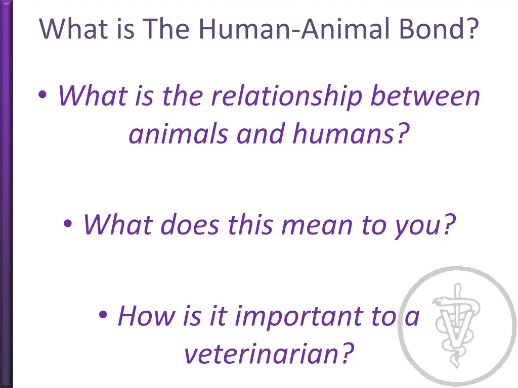 what is the human animal bond