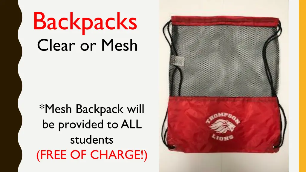 backpacks clear or mesh