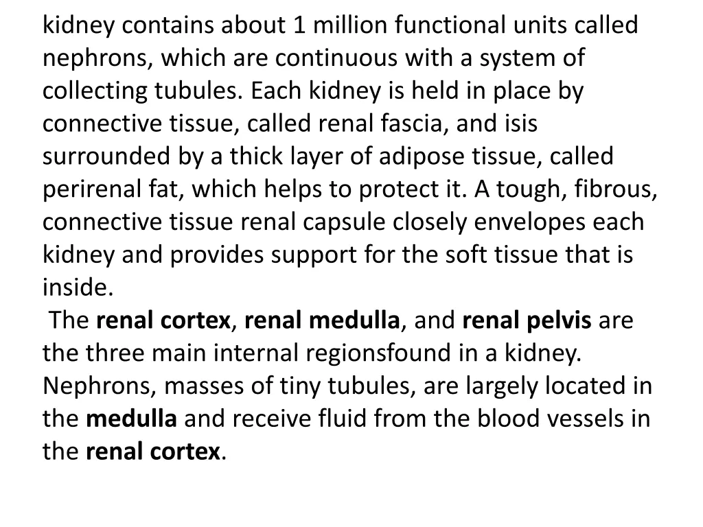 kidney contains about 1 million functional units