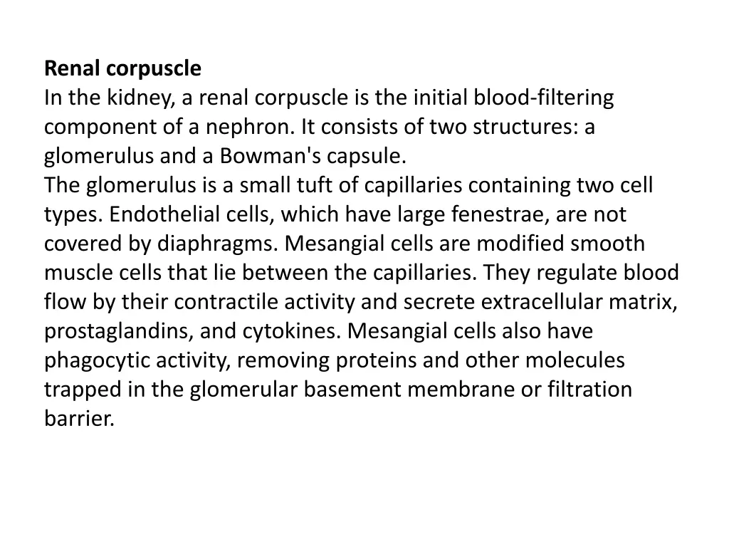 renal corpuscle in the kidney a renal corpuscle