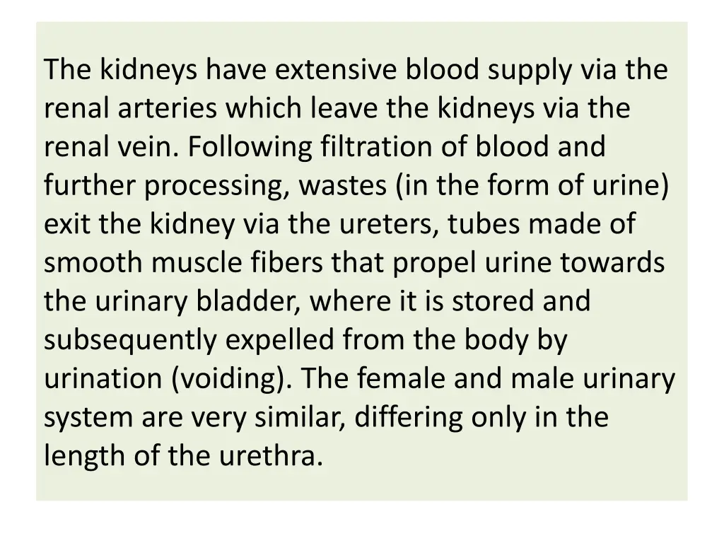 the kidneys have extensive blood supply