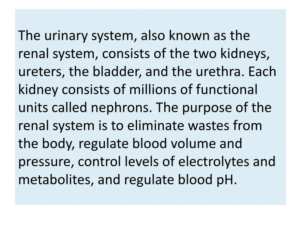 the urinary system also known as the renal system