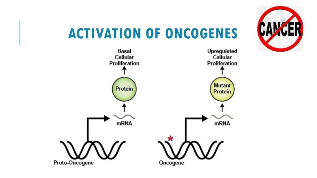 activation of oncogenes 1