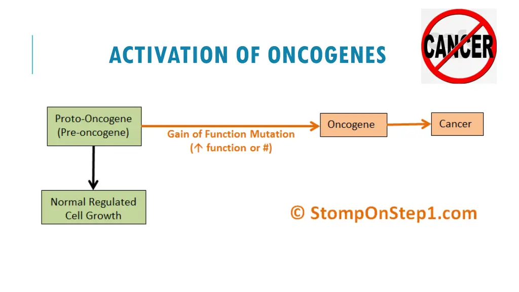 activation of oncogenes 2