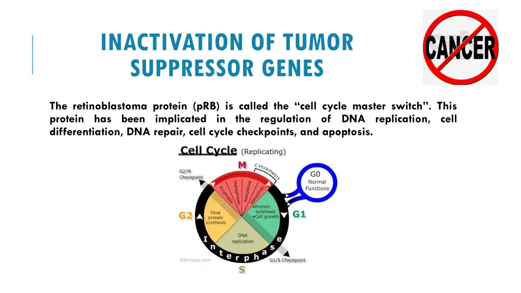 inactivation of tumor suppressor genes 2