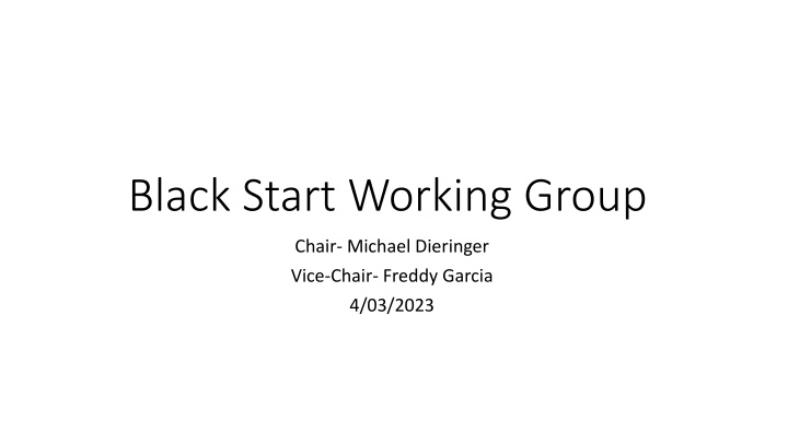 black start working group