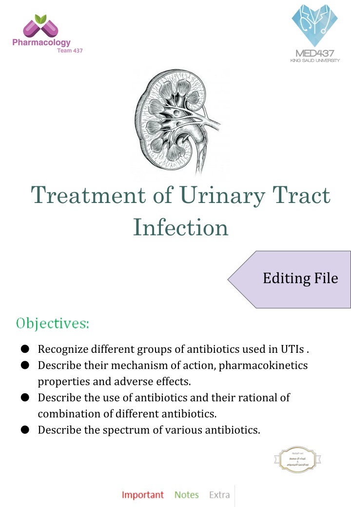 treatment of urinary tract infection