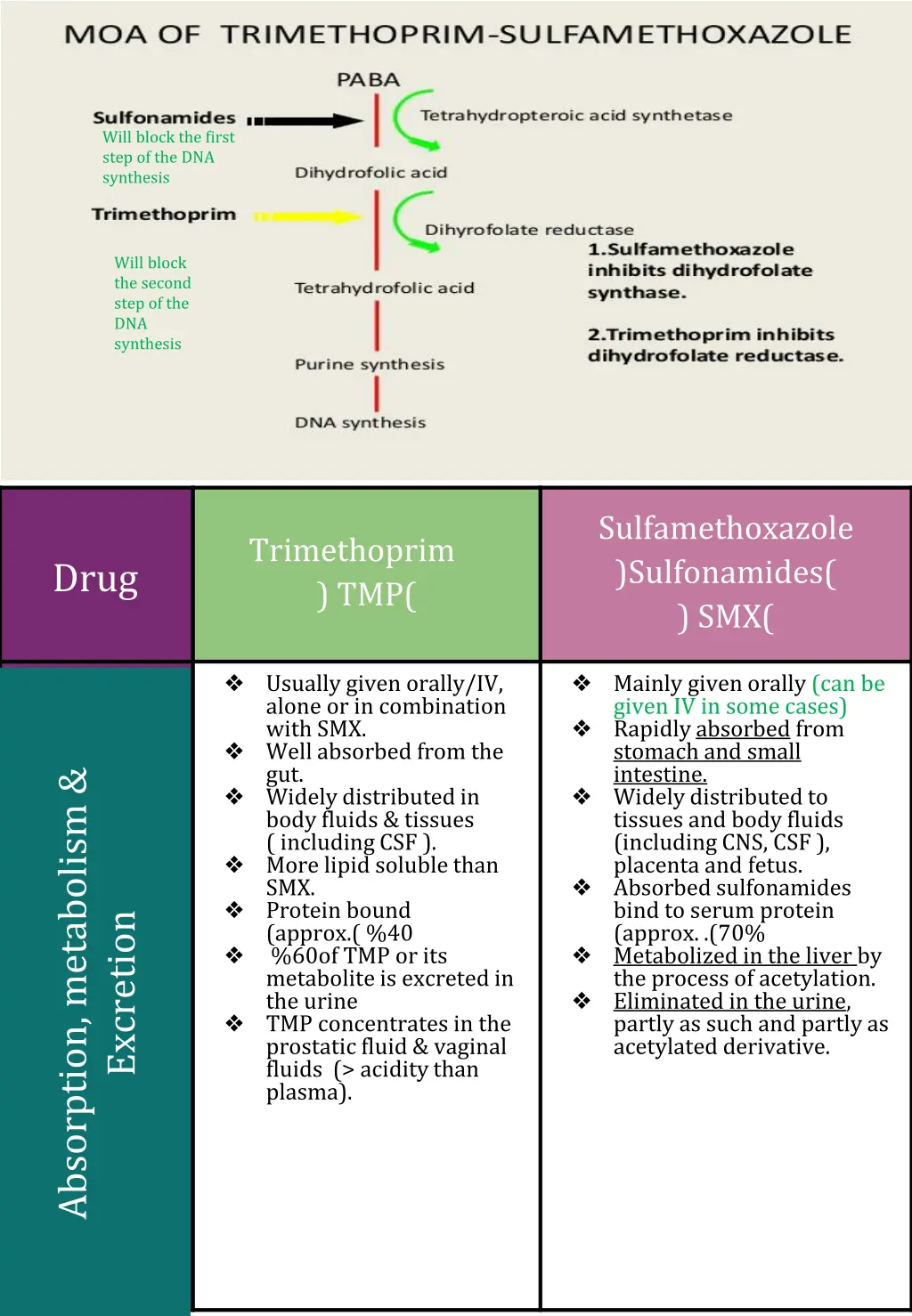 will block the first step of the dna synthesis