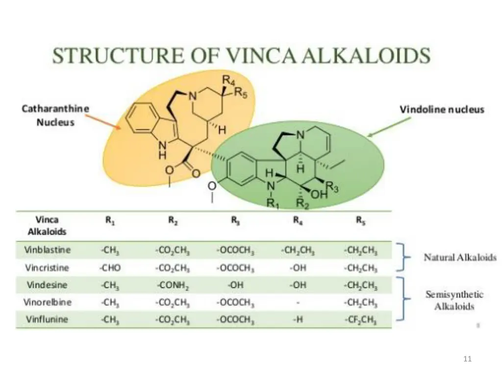 slide11