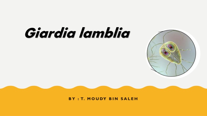 giardia lamblia