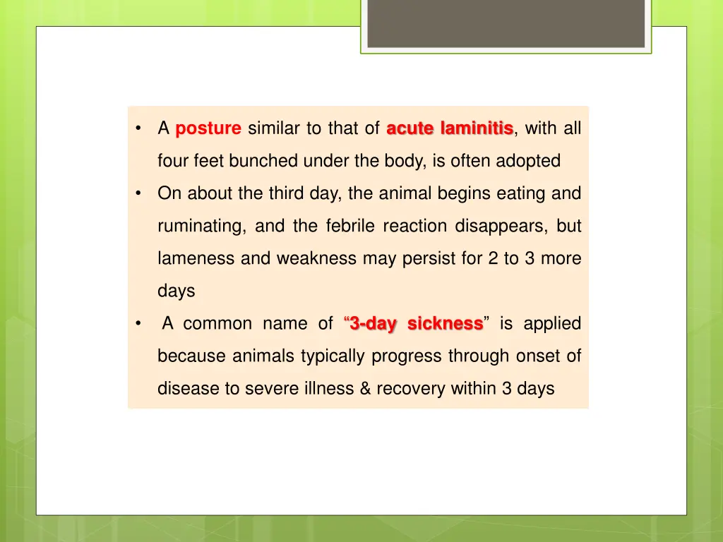 a posture similar to that of acute laminitis with