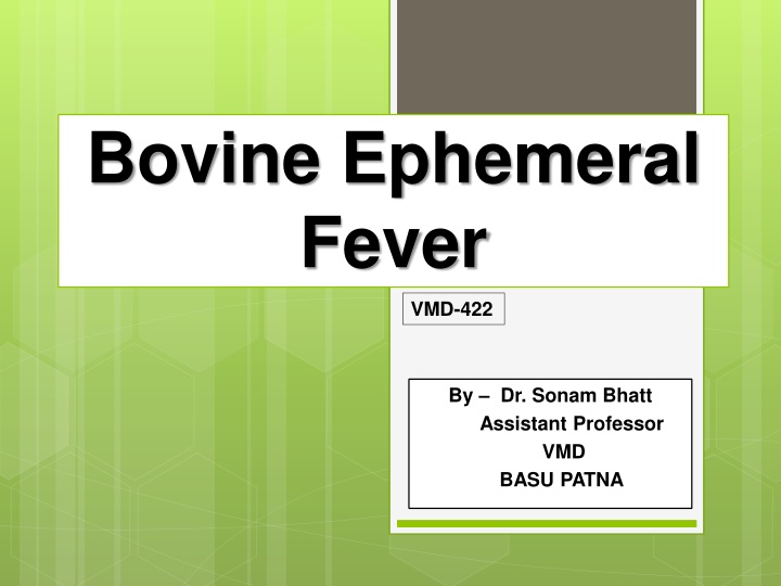 bovine ephemeral fever