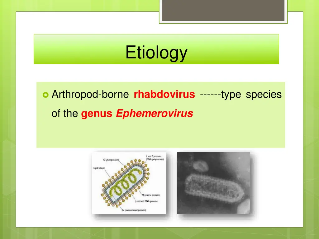 etiology