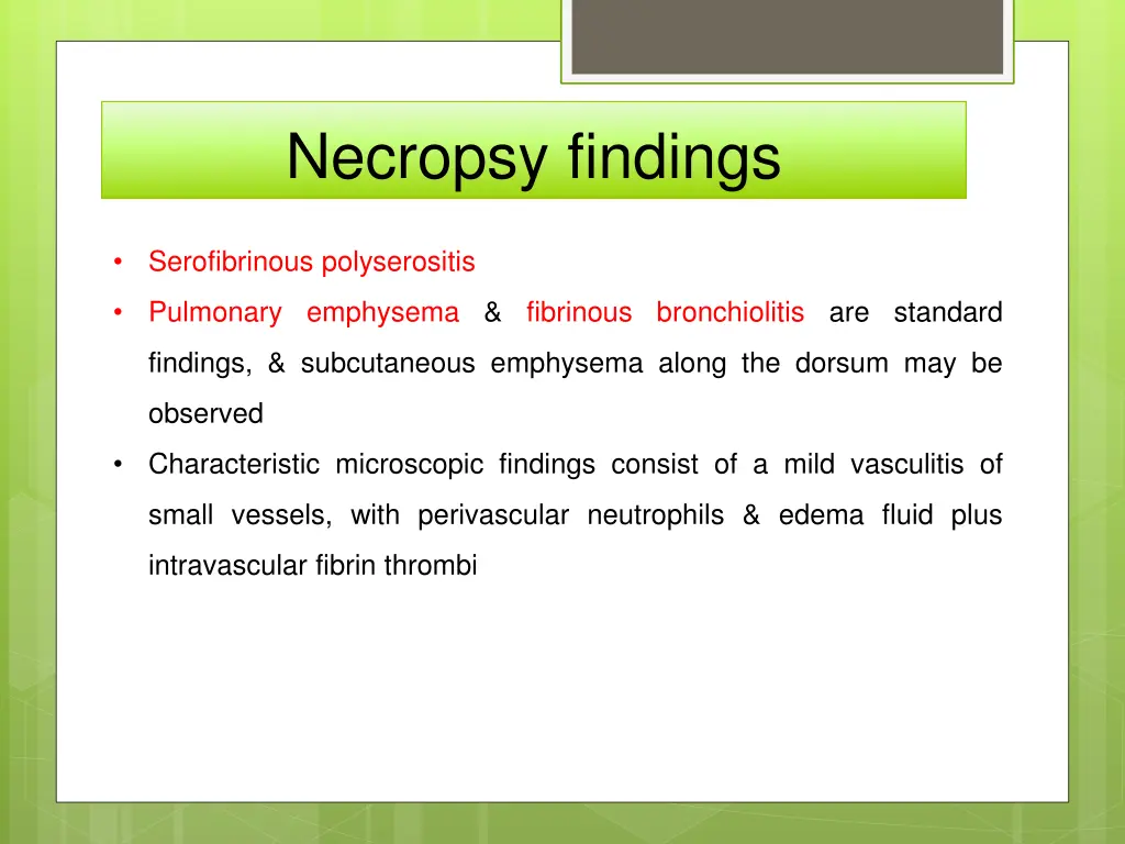 necropsy findings