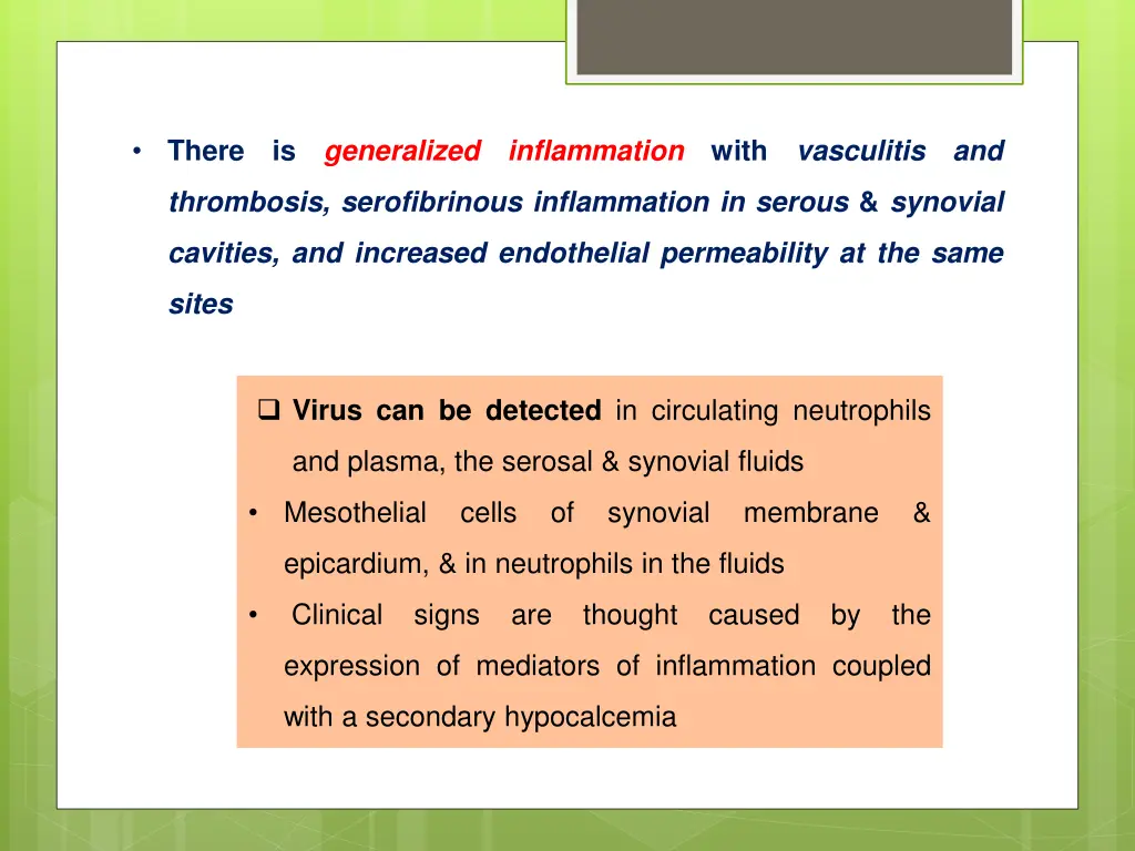 there is generalized inflammation with vasculitis