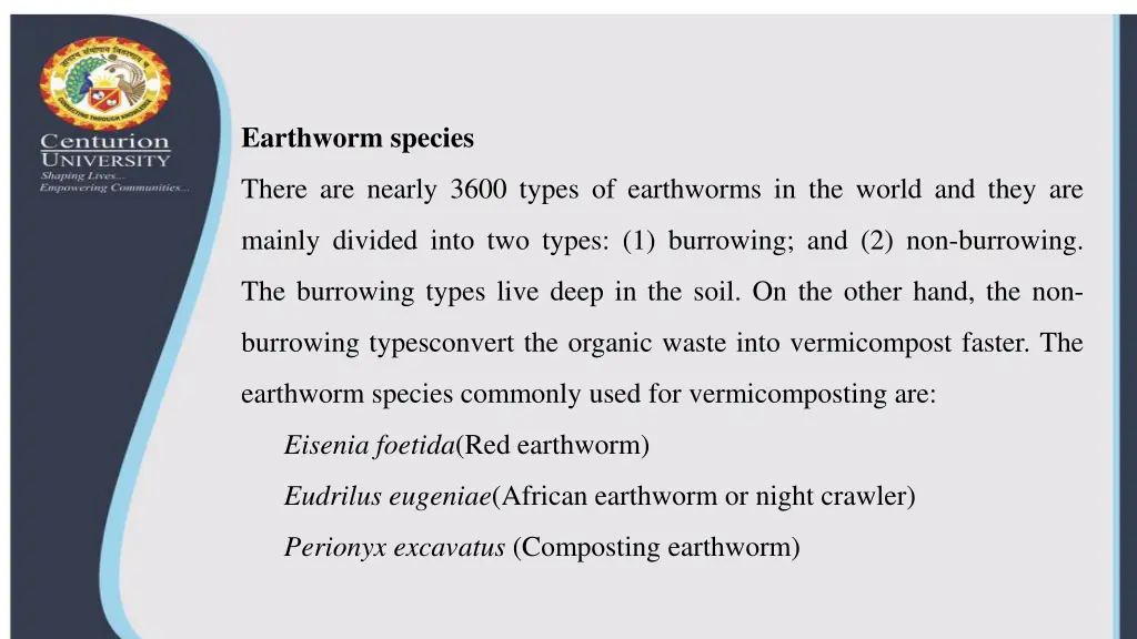 earthworm species