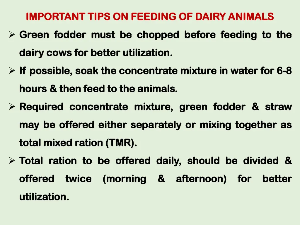 important tips on feeding of dairy animals