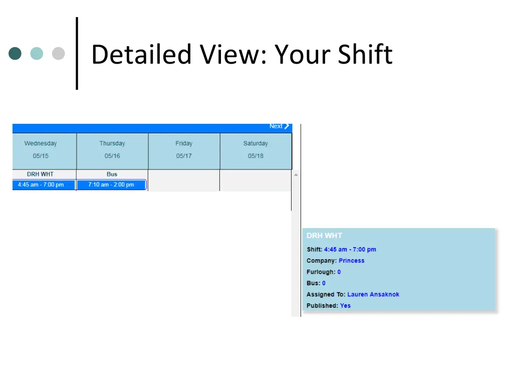 detailed view your shift