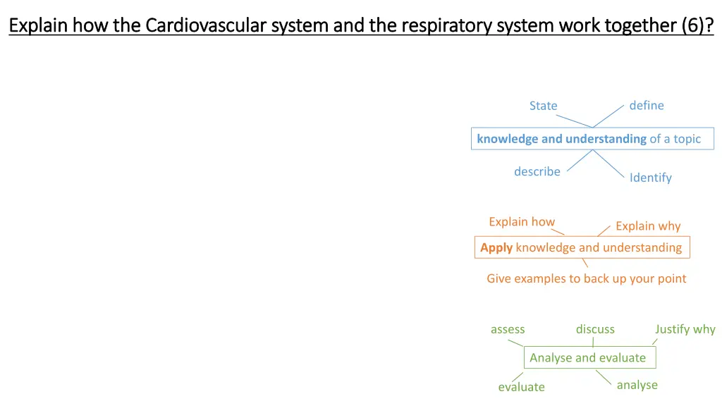 explain how the cardiovascular system