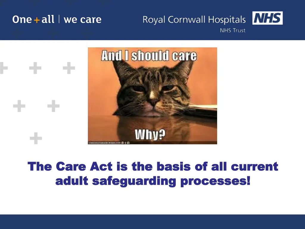 the care act is the basis of all current the care