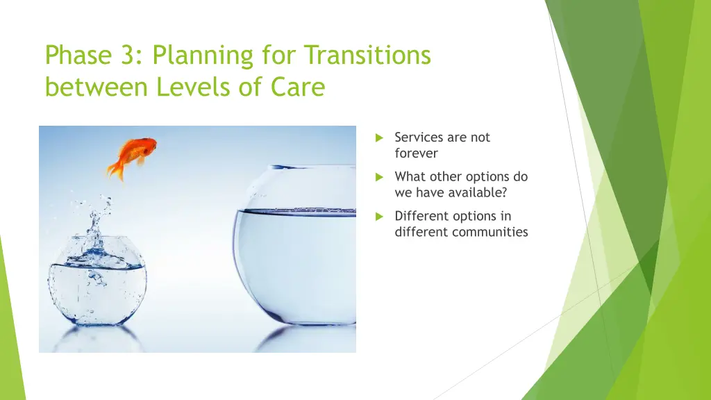 phase 3 planning for transitions between levels